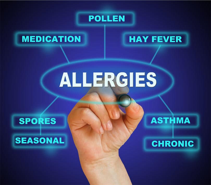 trc afbeelding allergieen oorzaken hand stift