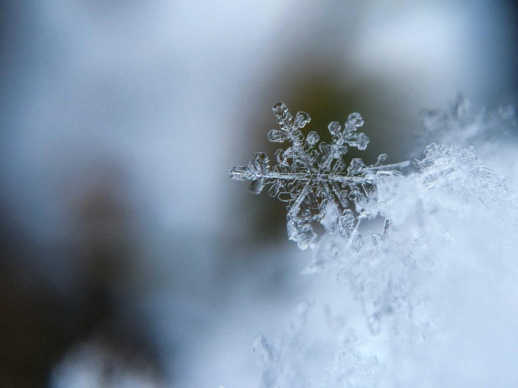 5 tips om je gezondheid tijdens de kerstdagen te ondersteunen