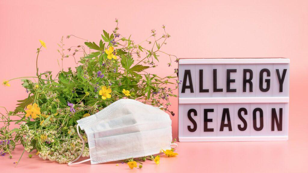 allergy season